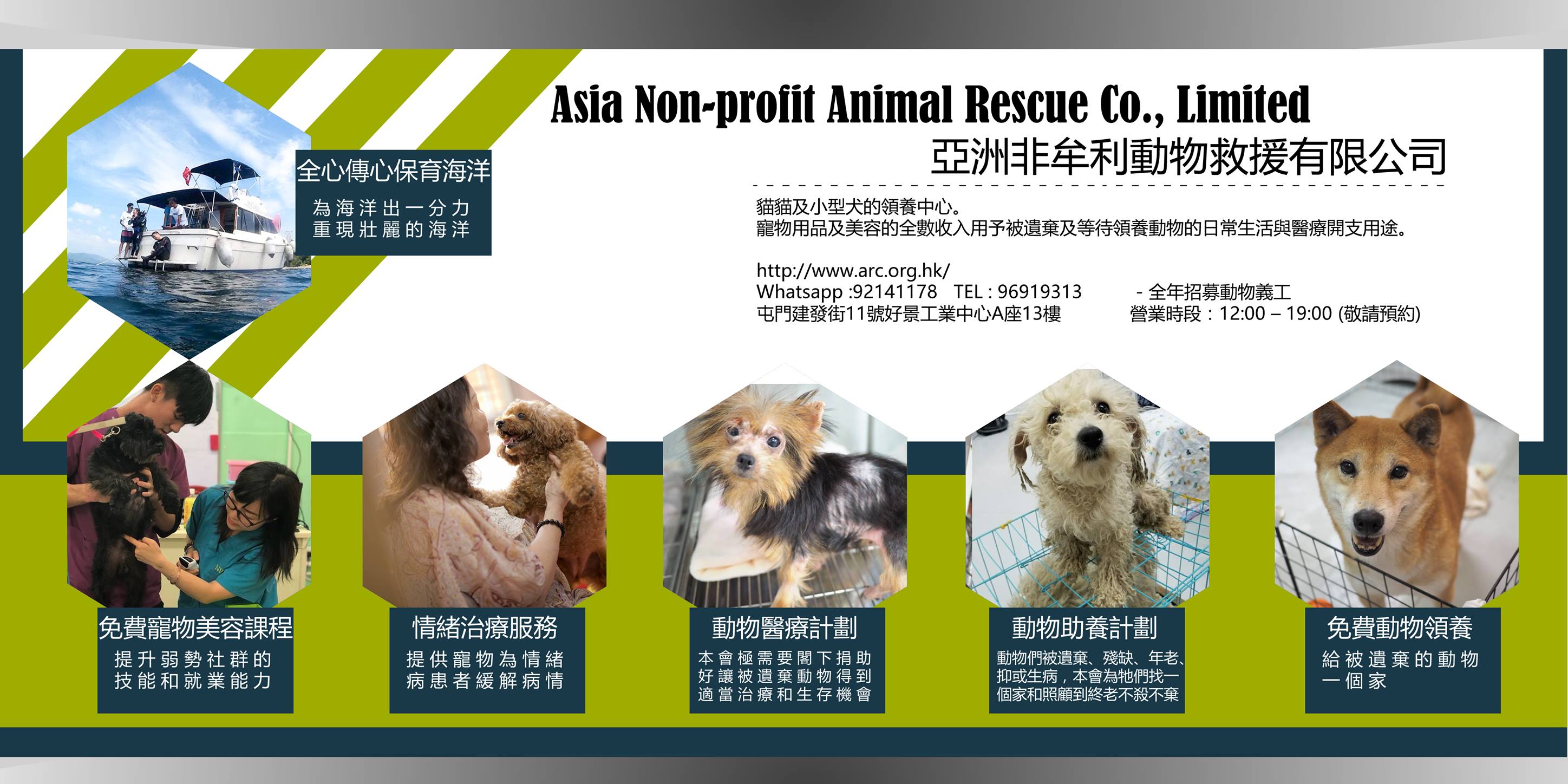 領養表格 | 亞洲非牟利動物救援 – 動物領養中心
