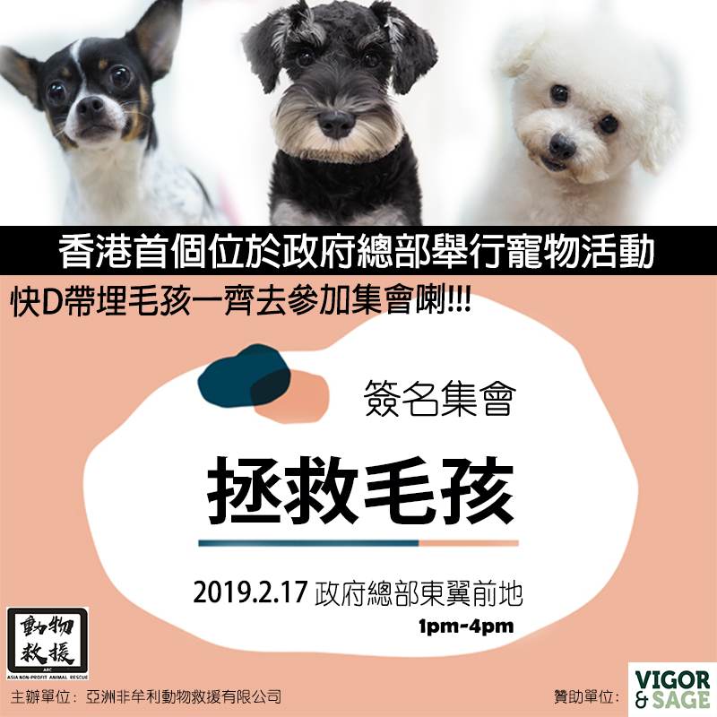 香港首個位於政府總部舉行寵物活動