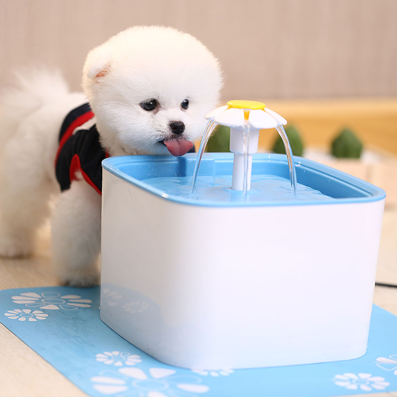 【寵物健康篇】犬貓每日應該要喝多少水量呢？