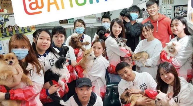 狗義工 2019-2020 ARC Volunteer Day 日常大合照